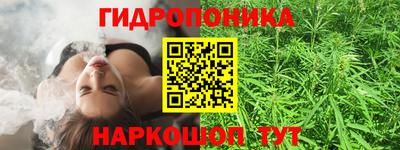 гашик Новозыбков