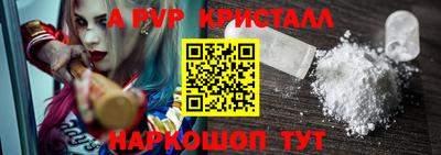 гашик Новозыбков