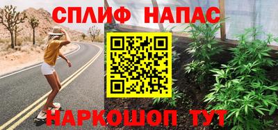 гашик Новозыбков