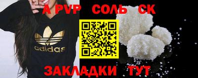 гашик Новозыбков
