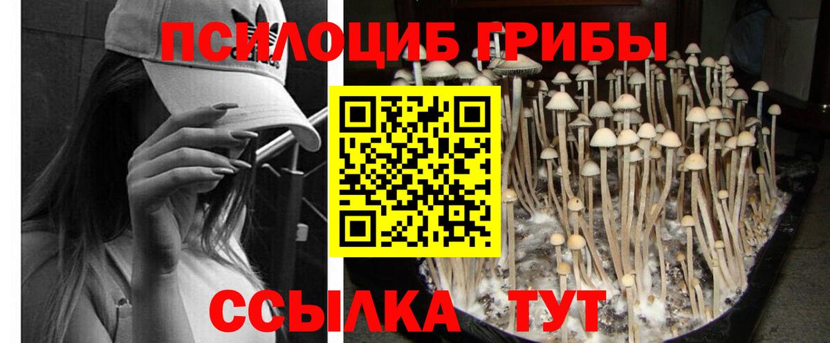 Псилоцибиновые грибы GOLDEN TEACHER Ржев