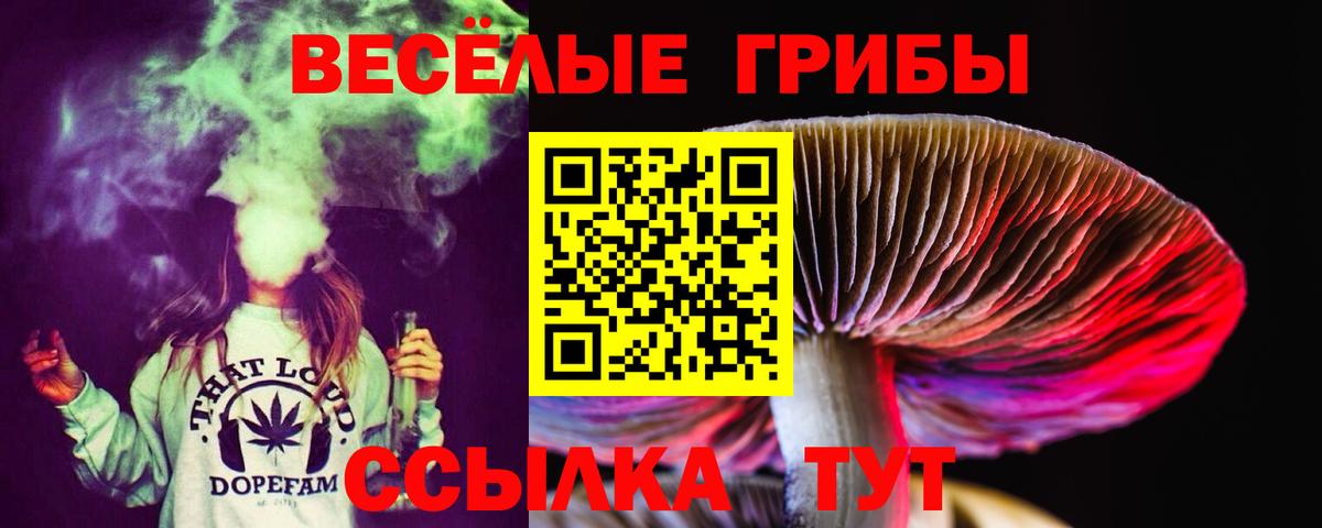 Ржев  Галлюциногенные грибы ЛСД  Псилоцибиновые грибы Psilocybine cubensis  Вход с VPN 
